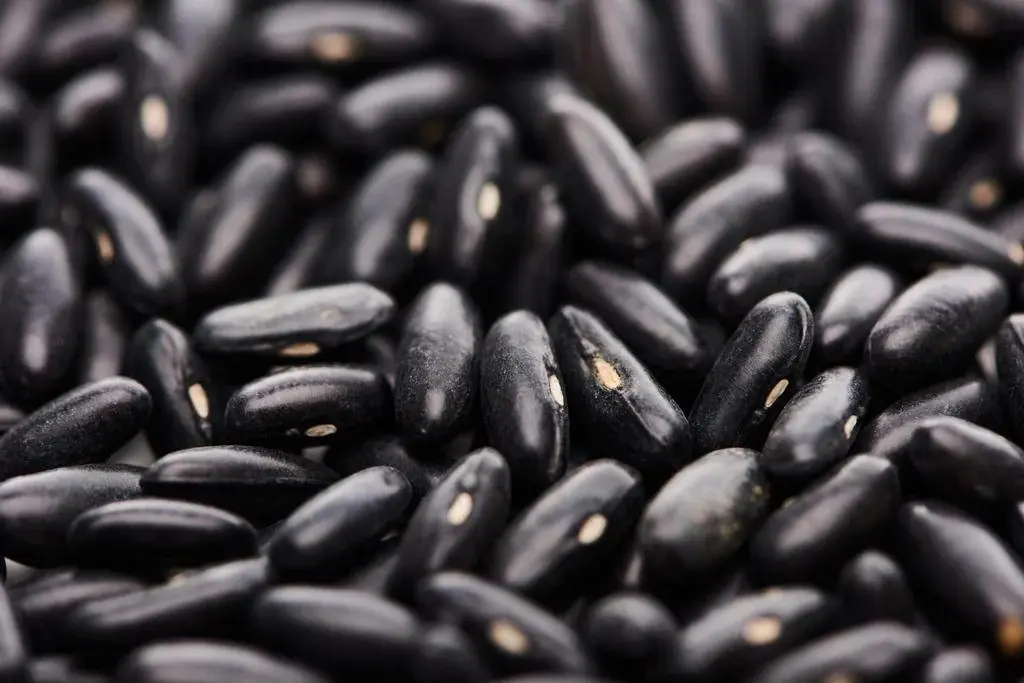 fasolea neagra
