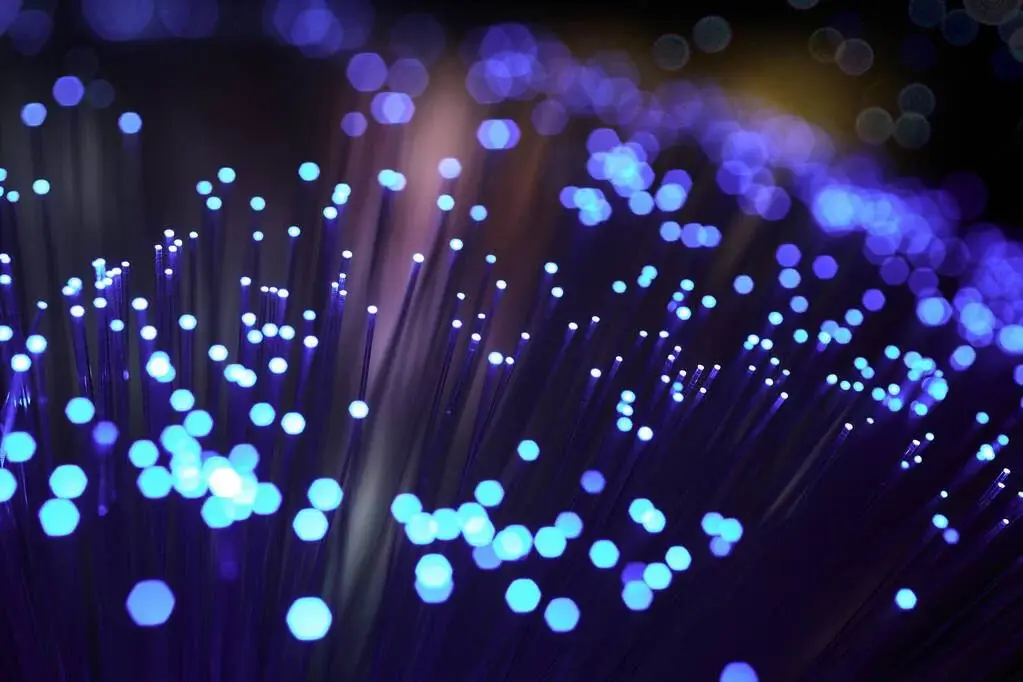 La nivel mondial, există peste 4,8 miliarde de utilizatori de internet.
