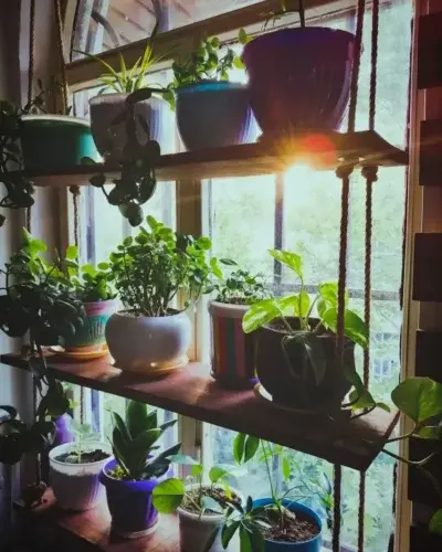 Photo "How to transform your home into an eco-friendly space"