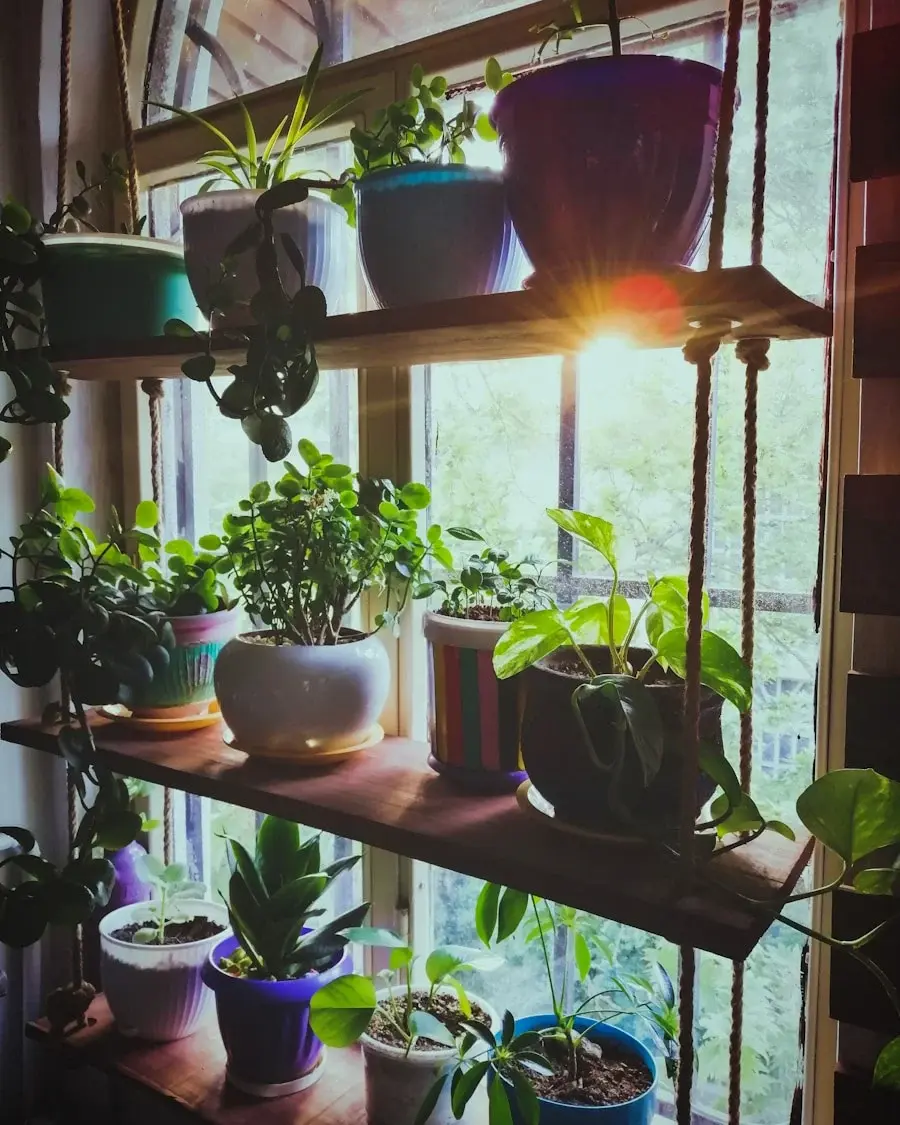 Photo "How to transform your home into an eco-friendly space"