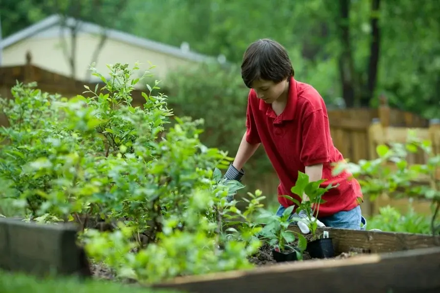 Photo "The secrets of organic gardening for a cleaner environment"