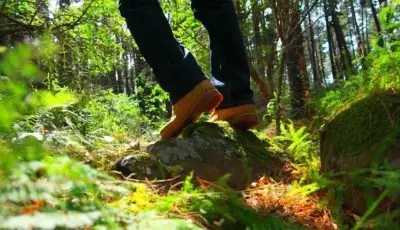 Photo "How to reduce your ecological footprint through simple habits"