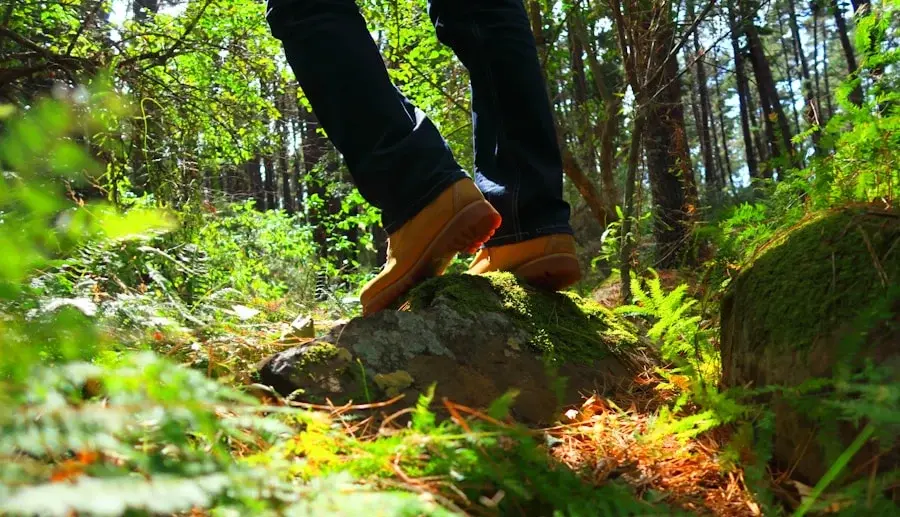 Photo "How to reduce your ecological footprint through simple habits"