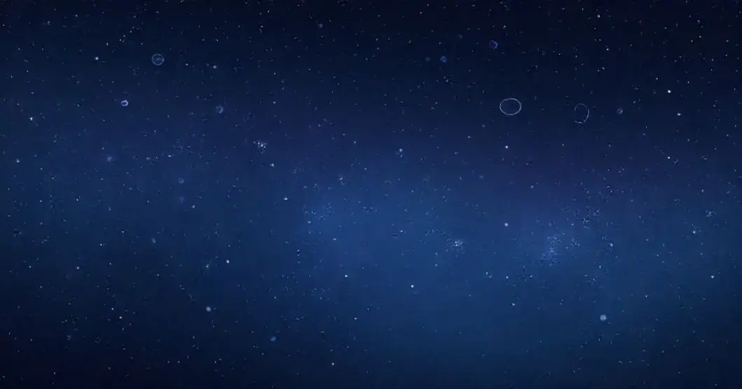 Introducere in astronomie Cum sa observi stelele fara un telescop scump 1766074469