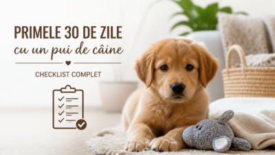 Primele 30 de zile cu un pui de câine: checklist complet